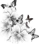 Бабочки 001.jpg