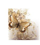 Бабочки 053.jpg