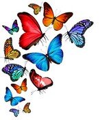 Бабочки 056.jpg