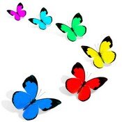 Бабочки 057.jpg